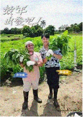 周末野餐计划综艺封面